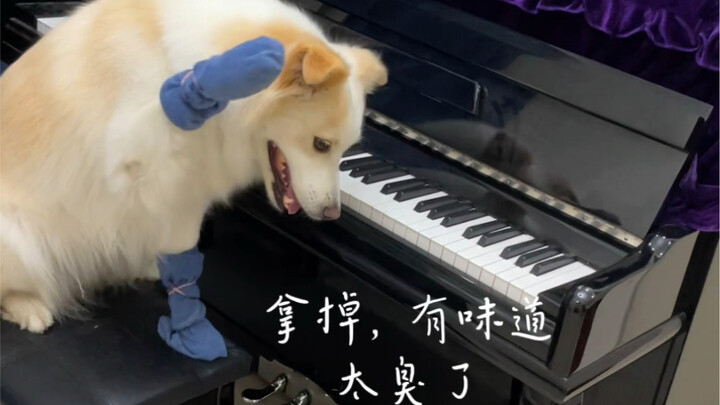 Mungkin kaos kakiku terlalu bau deh