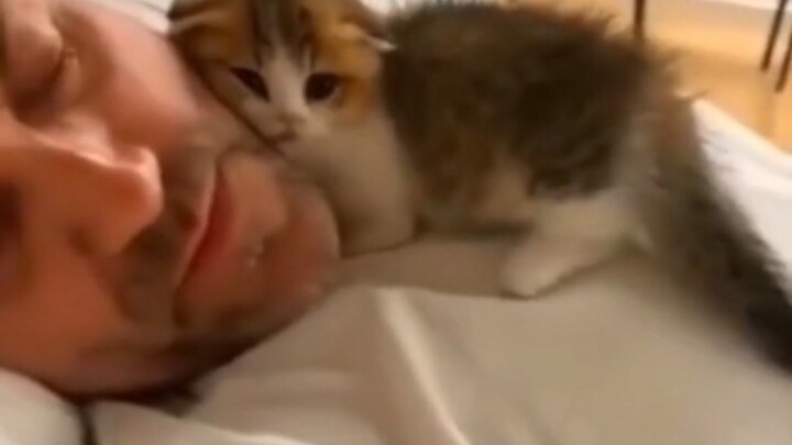 世界破破烂烂，小猫缝缝补补！