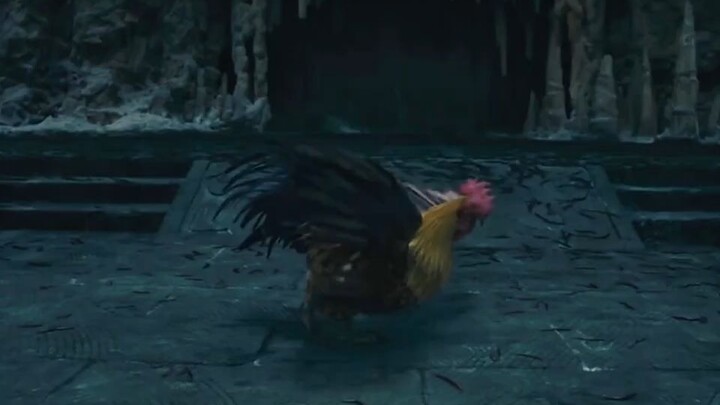 To hunt down the nemesis of centipedes, this man stumbled upon the legendary Fengzong Nuqing Chicken