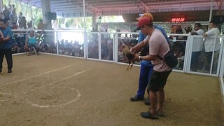 Tibay sa Basaan kahit malaki ang kalaban.👊💪