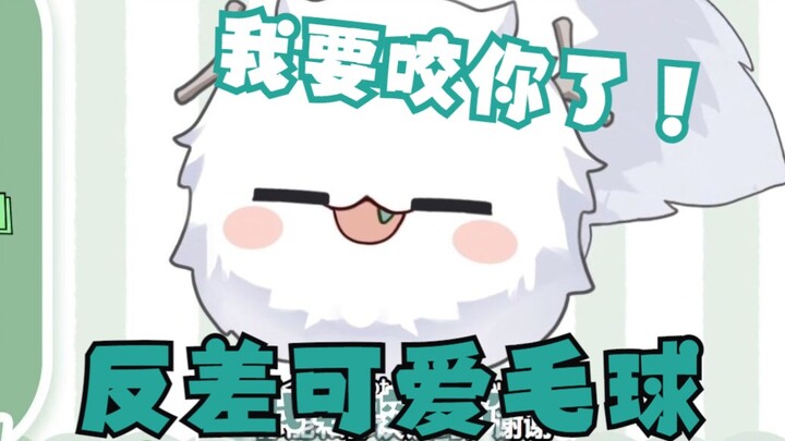 【TyrNoir】谁能拒绝一只超反差可爱毛球呀！