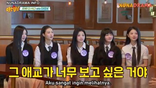 KNOWING BROTHER EPS 435 ILLIT SUB INDO