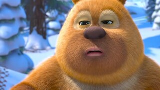 "Mỗi con gấu đều có lông trên người ~"