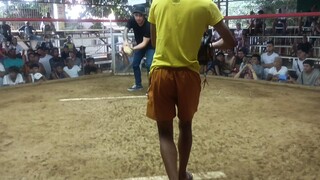 second fight lemon vs bulik champion 2hits ulutan