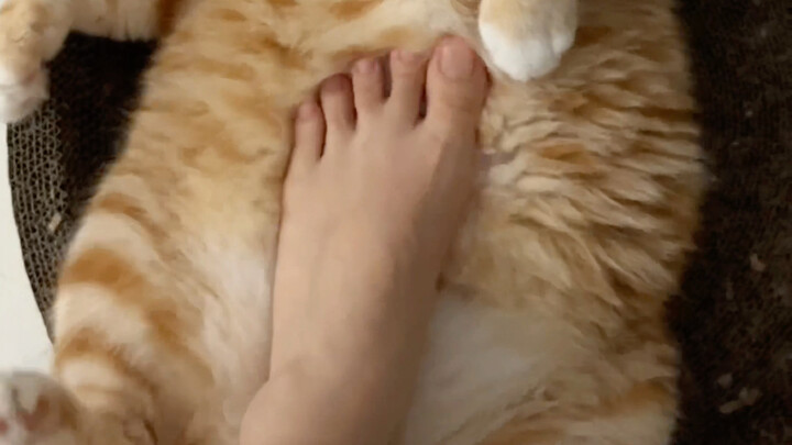 إحساس بالمشي على البراز!