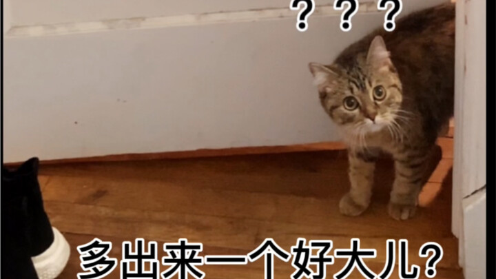 Không có tiếng “bố” nào là gọi vô ích cả.