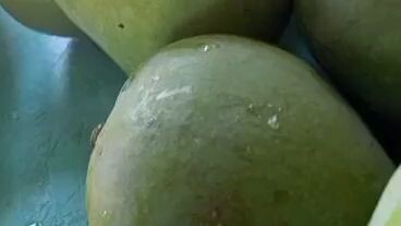 Saaaaraaap!! 🤤🤤