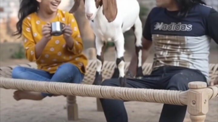 entertainment video