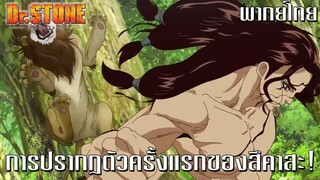 Dr. Stone การปรากฎตัวครั้งแรกของสึกคาสะ [พากย์ไทย]