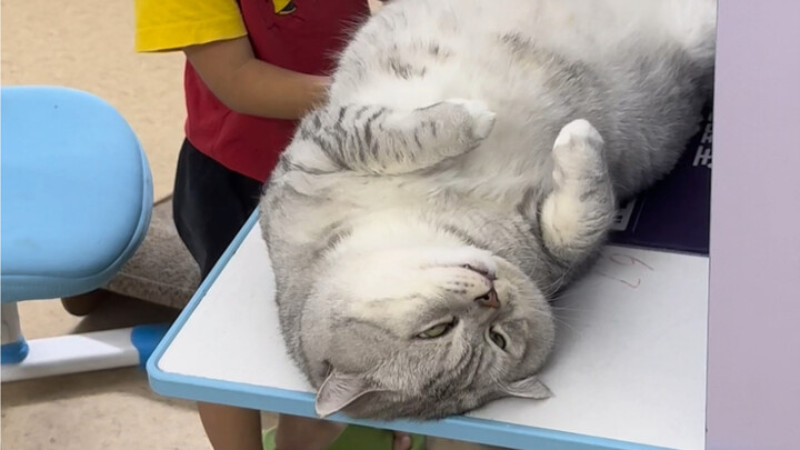 大壮最后被小弟啰嗦走了