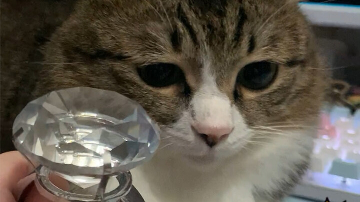 ขอเธอแต่งงาน แต่ถูกปฏิเสธ.. ฮือๆ