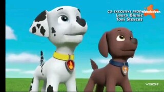 Paw Patrol Musim 7 Episode 7 dan Episode 8 Bahasa indonesia Vision+