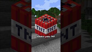 Minecraft tapi aku gaboleh sentuh warna Merah