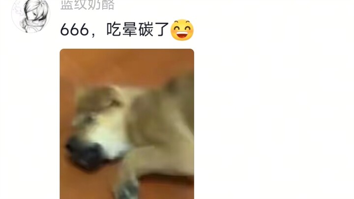 الكلب: قوة الجلوس بعد الأكل كبيرة لدرجة كادت تقتلني من الشبع!