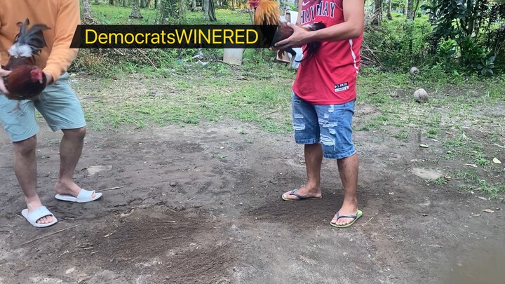 Winner DemocratsWINERED CapGamefowls lines