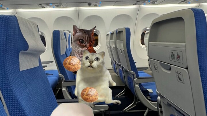 Why is meal service at midnight on airplanes?