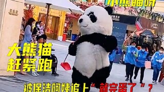 一只步伐妖娆的“大熊猫”！整天被保安追着打？他到底经历了什么