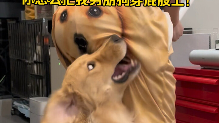 Chó: Mày làm bẩn mắt chó của tao quá! Tui~!