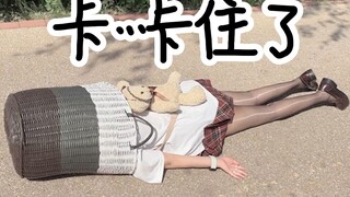 【Cat President】Senior... senior, please don't make me run anymore....