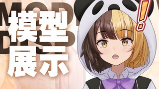 在这放一只可爱的三花（熊）猫