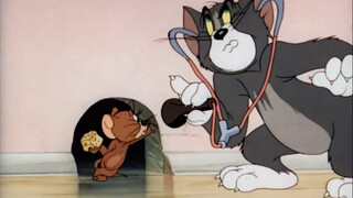 Who could say no to an episode of cat videos?