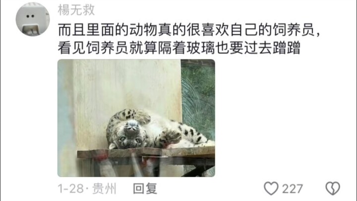 Kebun Binatang Xining di Qinghai yang selalu penuh kasih meski kekurangan dana.