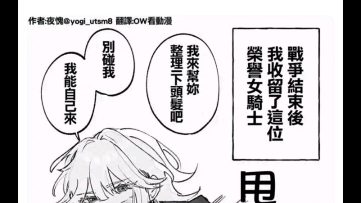 只会战斗的女骑士