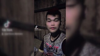 bornok vlog