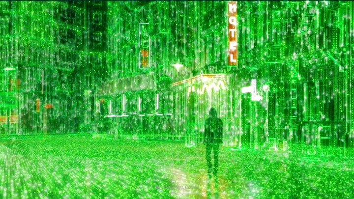 What If You Lived in the Matrix?