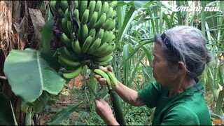 Mẹ nấu món canh chuối thịt ngon hấp dẫn sau ngày đi làm (Banana meat soup) -Cơm Mẹ Nấu