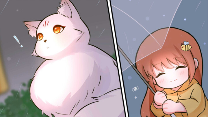 漫画：【 雨过经年 】