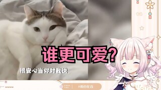 日本萝莉看《热爱105度的猫咪》自己也变成猫猫了