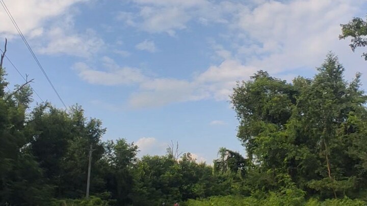 nature vibe