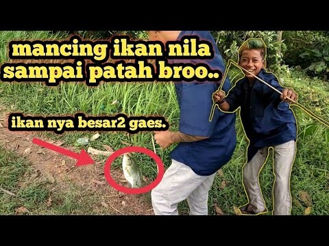 STRIKE IKAN BESAR DI RAWA,SAMPEK JORAN UCIL PATAH
