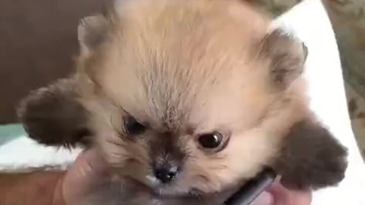 "Damn it! She's completely got me."
