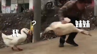 Người qua đường: "Hai người các bạn bị điên à!"