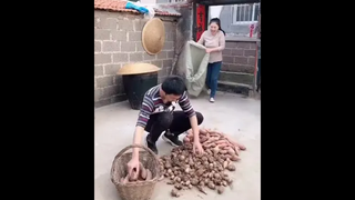 ขำๆ
