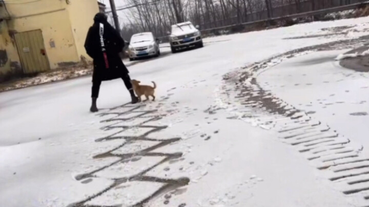 “Kiếp trước tôi là một cánh cửa trượt”