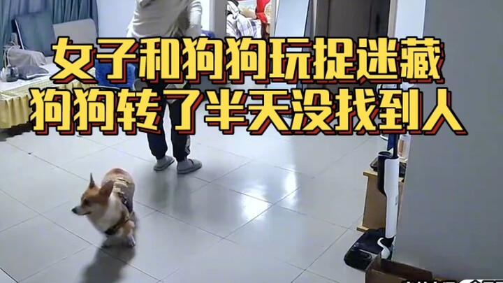 Girl plays hide-and-seek with her dog — the pup spins around for ages but can’t find her: “I can tot