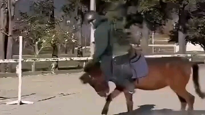 Horse: You assemble the head.