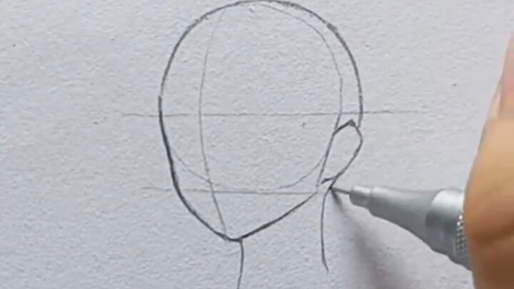 Drawing face shapes from different angles