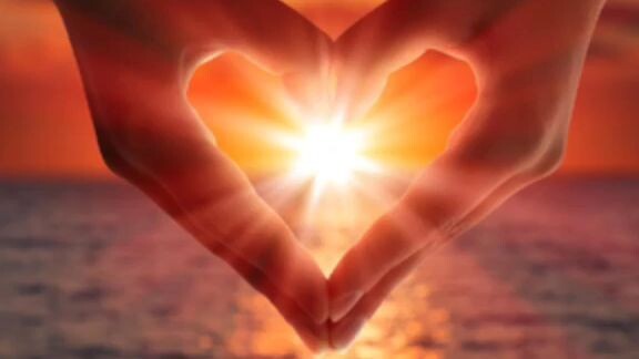 heart's