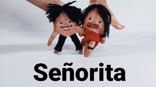 【SonyToby】灵活手指翻跳《Señorita》 - Shawn Mendes, Camila Cabello -