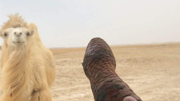 I’m a bit disappointed today—no real surprises here. This is just their everyday home cooking.