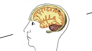 Can memory really be tampered with? Or is there a bug in time and space?