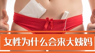 Nam giới không được vào, tại sao phụ nữ lại có kinh nguyệt?