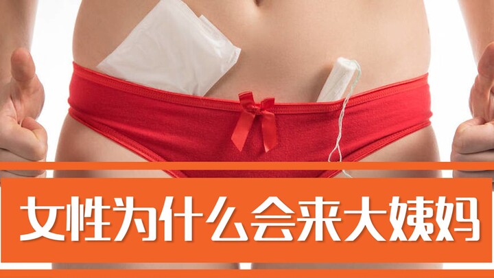 男性勿入，女性为什么会来大姨妈？