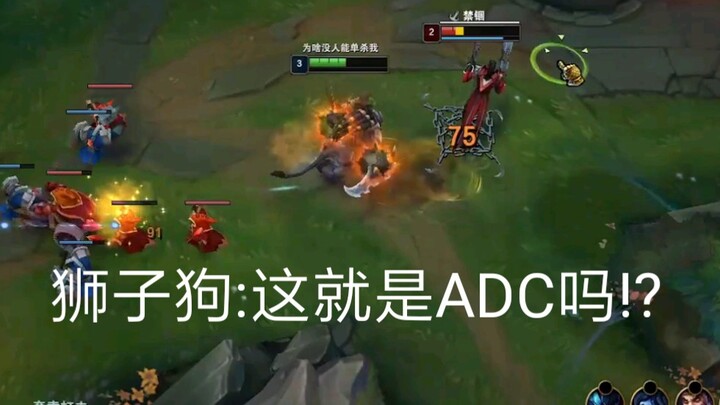 Lion Dog: Is this what an ADC is?!