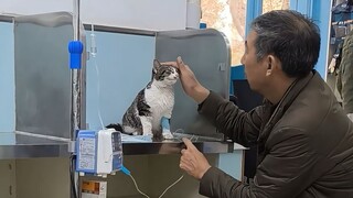 "Temporarily Forgive the World for Five Minutes"