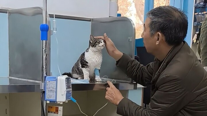 "Temporarily Forgive the World for Five Minutes"